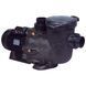 Насос Hayward Tristar SP32301 (220 В, 32.5 м3/год, 3 HP) aqp_16120 фото 1